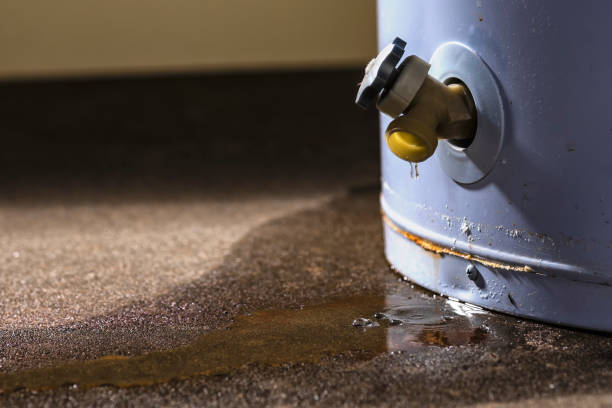 Sewage cleanup and water damage restoration in Maxwell, CA