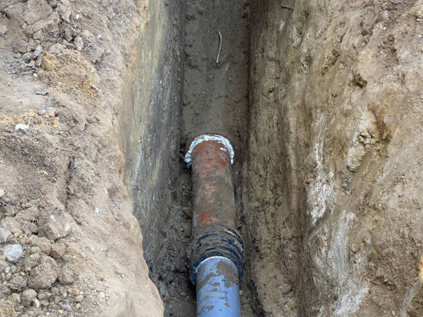 Best Flood restoration services  in Maxwell, CA