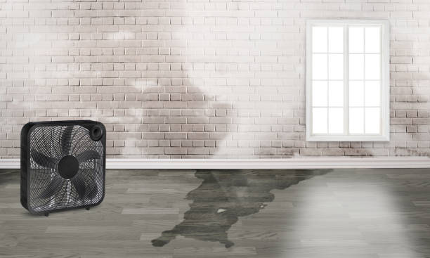 Best Fire Damage Restoration  in Maxwell, CA