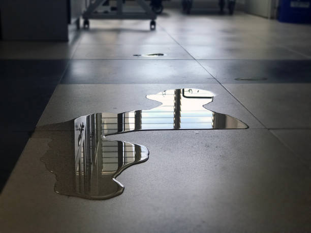 Best Emergency water damage restoration  in Maxwell, CA