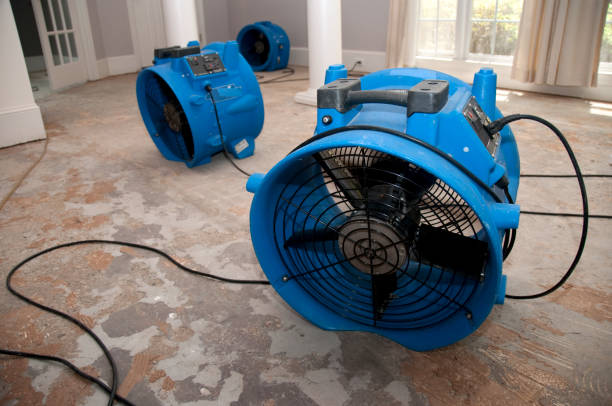 Water damage restoration mold remediation in Maxwell, CA