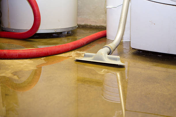Best Carpet water damage restoration  in Maxwell, CA