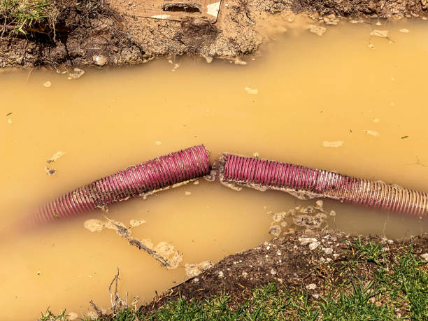 Best Water damage repair service  in Maxwell, CA